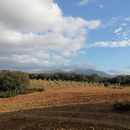 El Contarin - An Andalusian Escape, Archidona, Malaga *